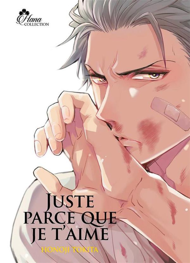 JUSTE PARCE QUE JE T'AIME - LIVRE (MANGA) - YAOI - HANA COLLECTION - TOKITA HONOJI - DG-EXODIF