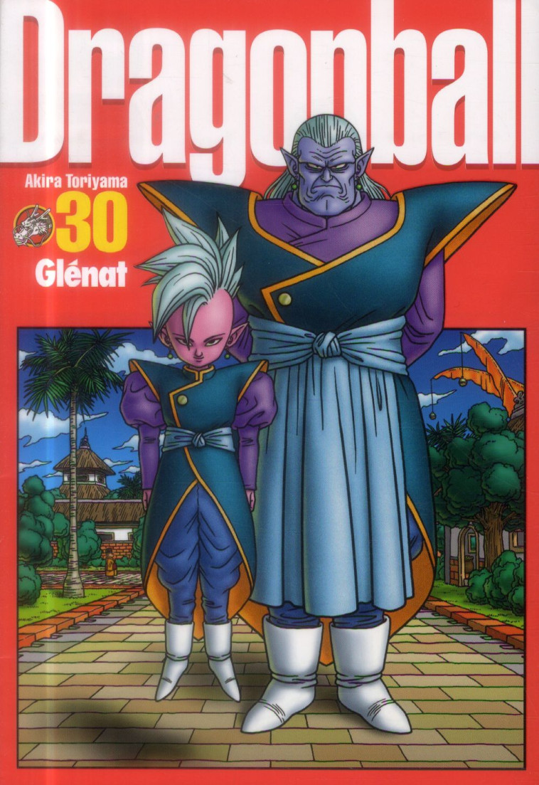 DRAGON BALL PERFECT EDITION - TOME 30 - TORIYAMA AKIRA - Glénat