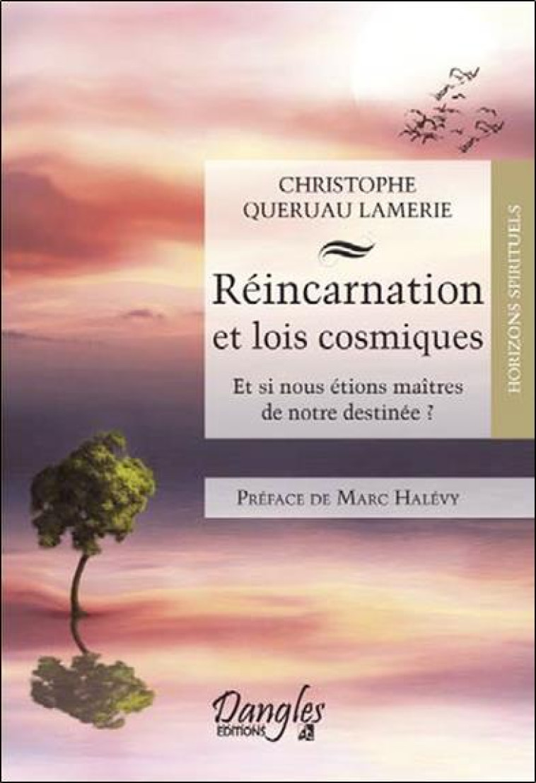 REINCARNATION ET LOIS COSMIQUES  -  ET SI NOUS ETIONS MAITRES DE NOTRE DESTINEE ? - QUERUAU LAMERIE CHRI - DANGLES