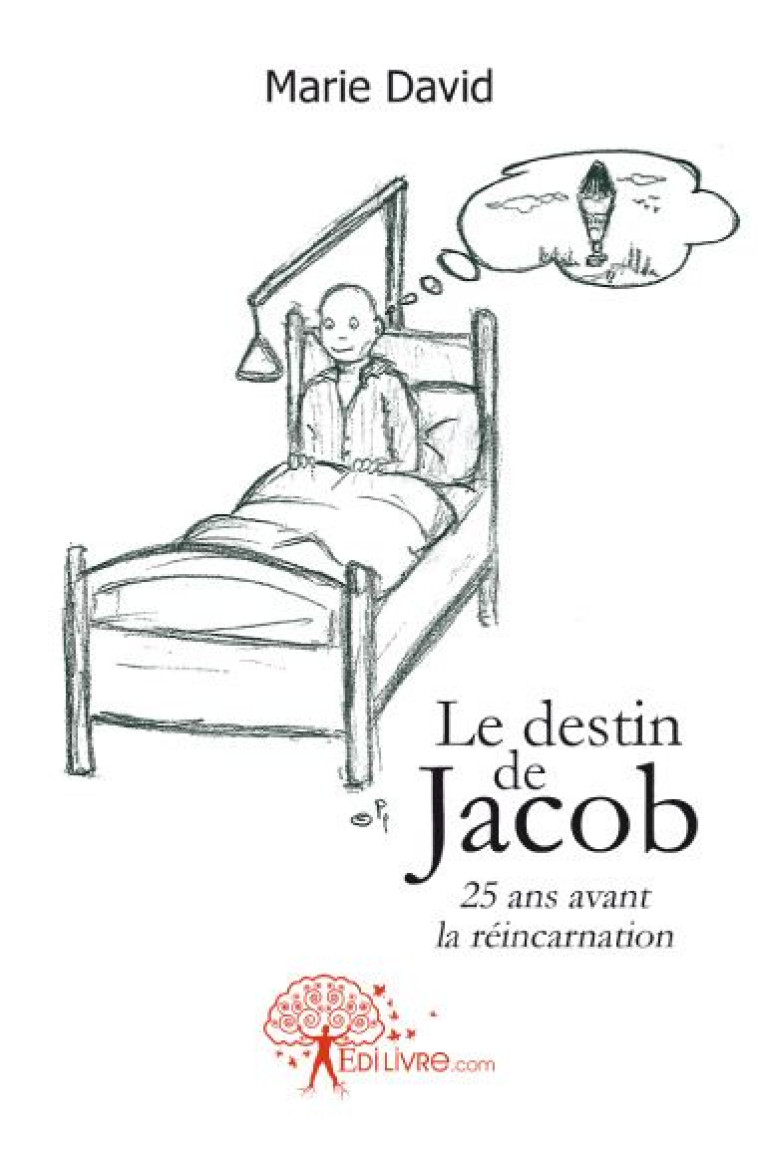 LE DESTIN DE JACOB  -  25 ANS AVANT LA REINCARNATION - MARIE, DAVID - EDILIVRE-APARIS