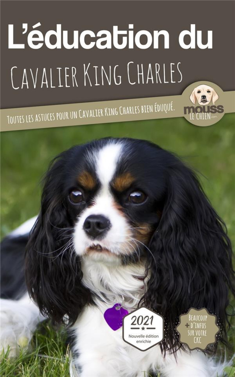 L'EDUCATION DU CAVALIER KING CHARLES : TOUTES LES ASTUCES POUR UN CAVALIER KING CHARLES BIEN EDUQUE - MOUSS LE CHIEN - CARRE MOVA