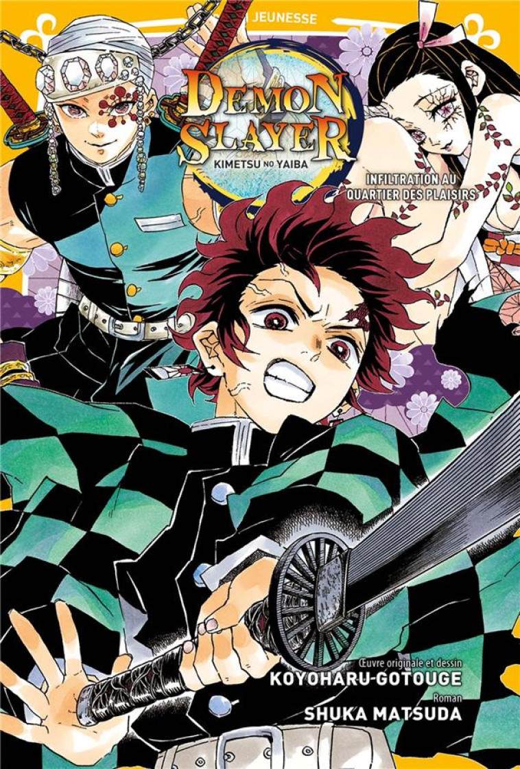 DEMON SLAYER - ROMAN JEUNESSE T04 -   - PANINI