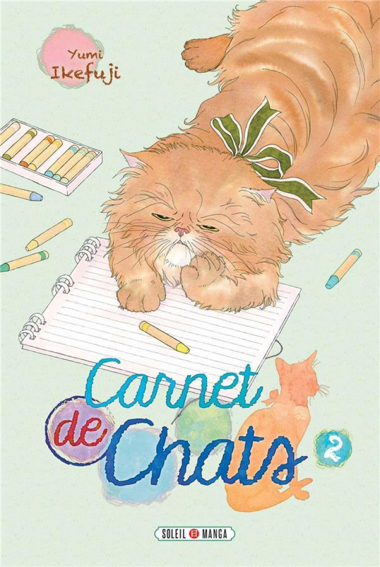 CARNET DE CHATS T02 - IKEFUJI-Y - Soleil