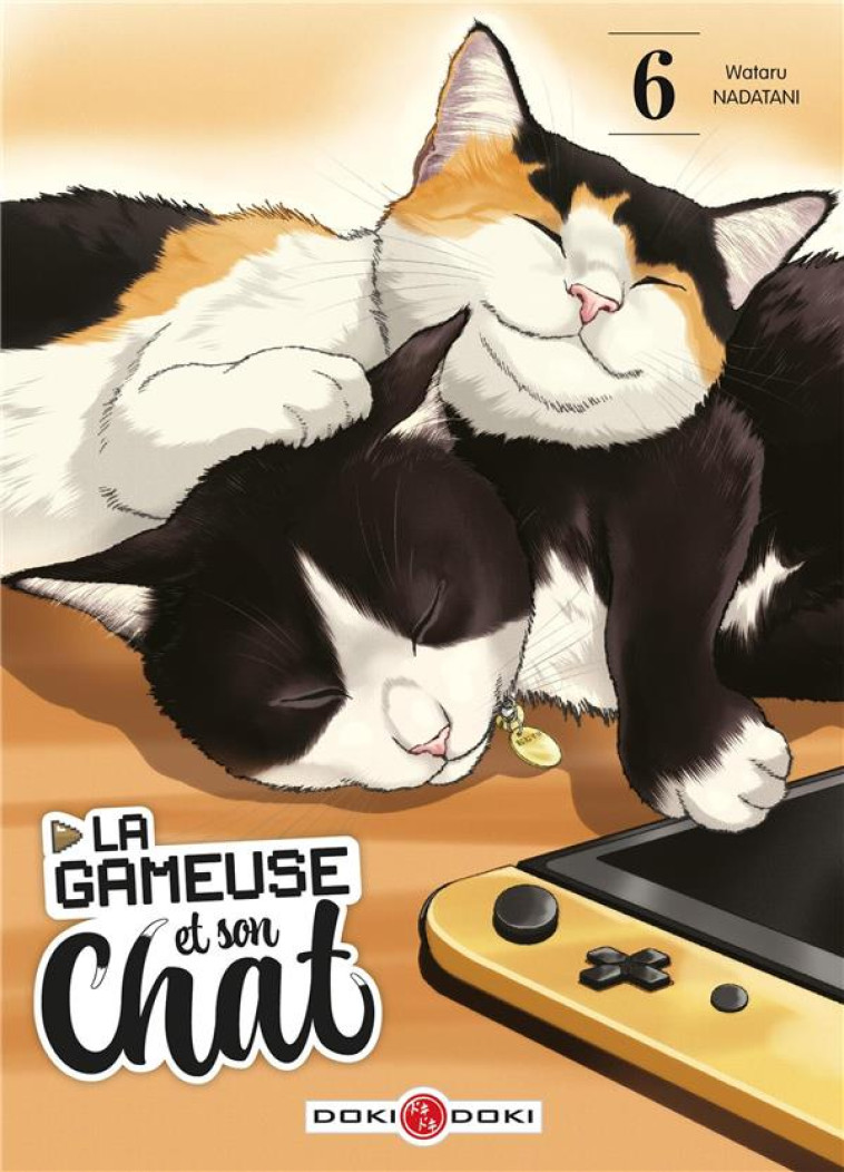 LA GAMEUSE ET SON CHAT - T06 - LA GAMEUSE ET SON CHAT - VOL. 06 - NADATANI WATARU - BAMBOO