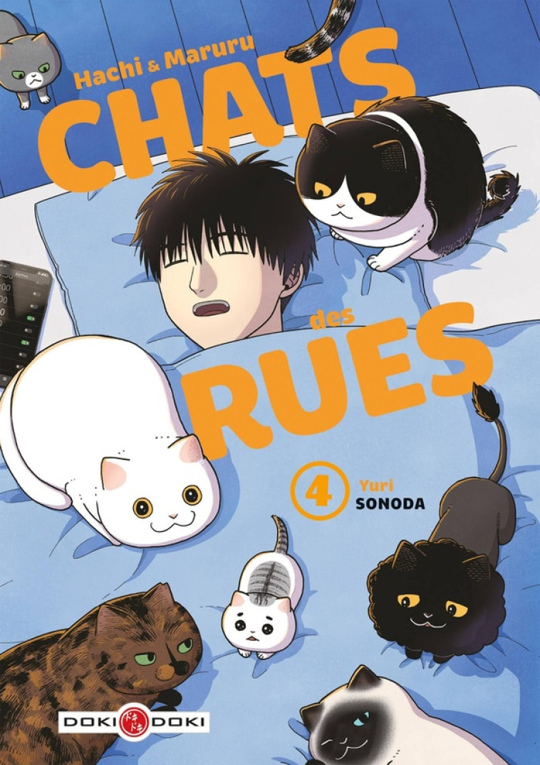 HACHI & MARURU - CHATS DES RUES - T04 - HACHI & MARURU - CHATS DES RUES - VOL. 04 - SONODA YURI - BAMBOO