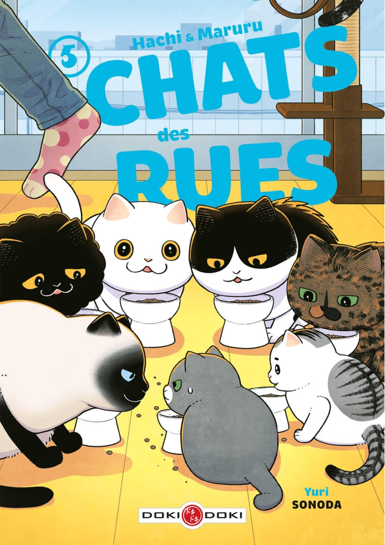 Hachi & Maruru - Chats des rues - vol. 05 - Yuri SONODA - BAMBOO