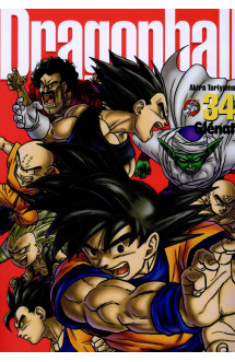 Dragon ball perfect edition - tome 34