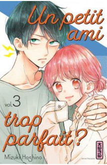 Un petit ami trop parfait ? - tome 3