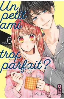 Un petit ami trop parfait ? - tome 6