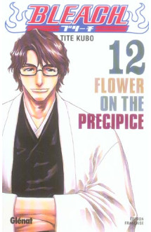 Bleach - tome 12