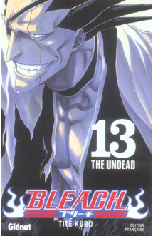 Bleach - tome 13