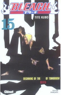 Bleach - tome 15