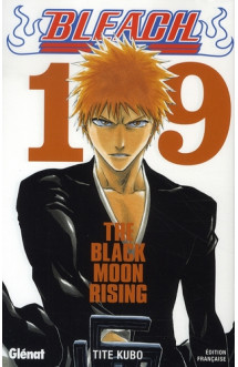 Bleach - tome 19