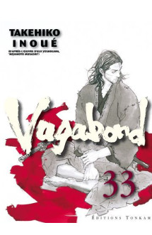 Vagabond t33