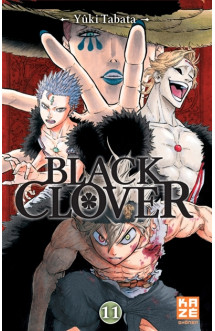 Black clover t11