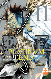 Platinum end t11