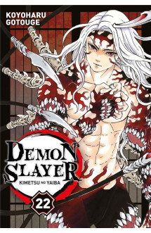 Demon slayer t22