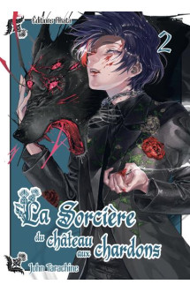 La sorcière du château aux chardons - tome 2