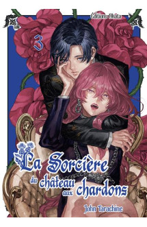 La sorcière du château aux chardons - tome 3