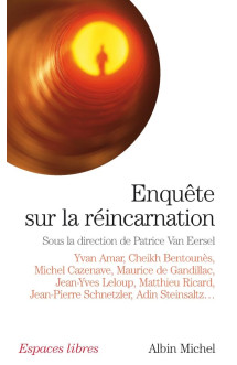 Enquete sur la reincarnation