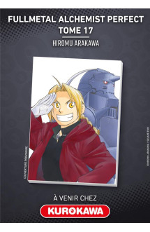 Fullmetal alchemist perfect - tome 17