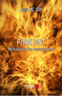 Fire cat, naissance d'un nouveau chat