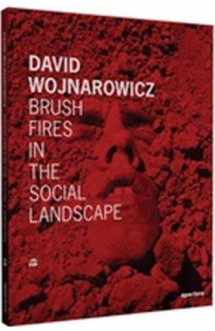 David wojnarowicz brush fires in the social landscape