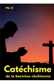 Catechisme de la doctrine chretienne : catechisme de saint pie x