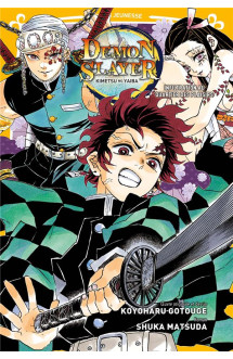 Demon slayer - roman jeunesse t04