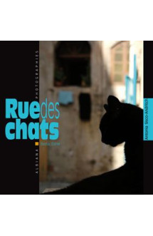 Rue des chats