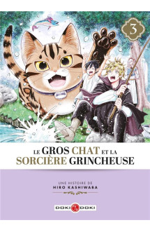 Le gros chat et la sorcière grincheuse - vol. 03