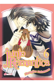 Junjo romantica t06