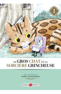 Le gros chat et la sorcière grincheuse - vol. 01