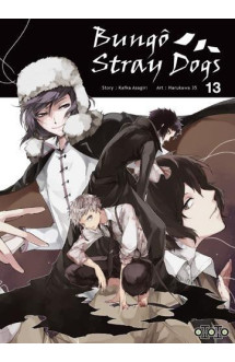 Bungo stray dogs t13