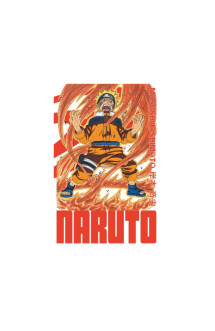 Naruto - édition hokage - tome 13