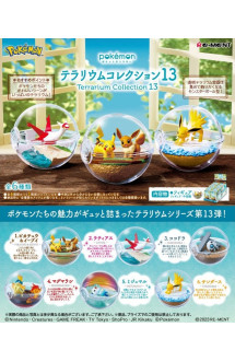 Pokemon terrarium vol 13